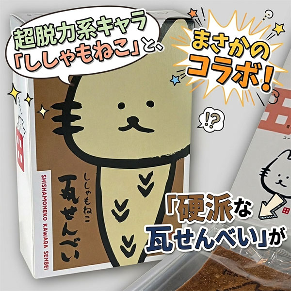 ししゃもねこ